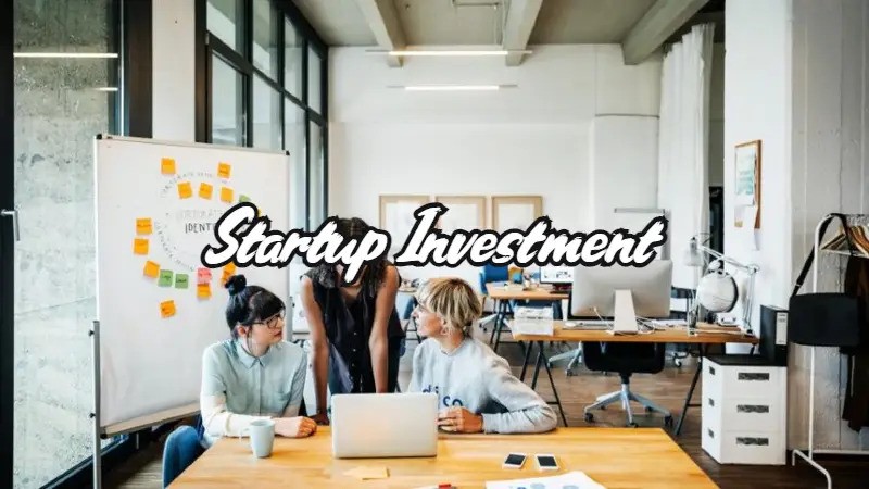 راهنمای جامع سرمایه گذاری در استارتاپ ها: از شروع تا سود دهی