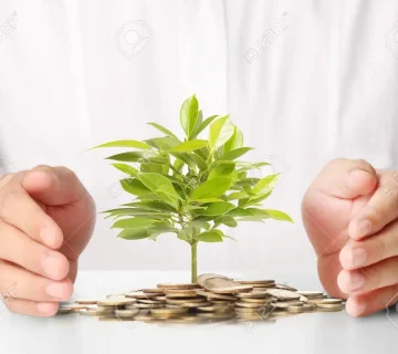 سایت جذب سرمایه گذار پلی برای رشد استارتاپ ها