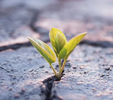 تاب آوری کسب و کار چیست و چرا باید جدی گرفته شود؟